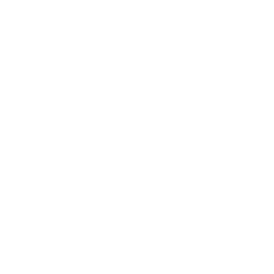 Pickleball Court